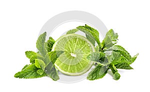 Fresh mint leaves and citrus fruit