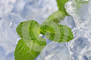 Fresh mint leaves lie on ice cubes. Preparation of cocktails. Concept purity and freshness .