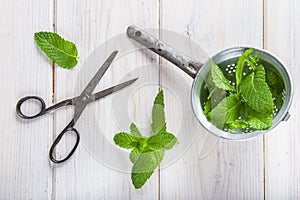 Fresh mint leaves in an old drainer