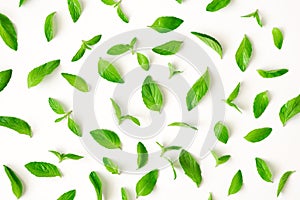 Fresh mint leaves pattern