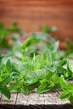 Fresh mint leaves on wooden background.