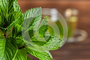 Fresh mint leaves on the wooden background and cup of tea with mint