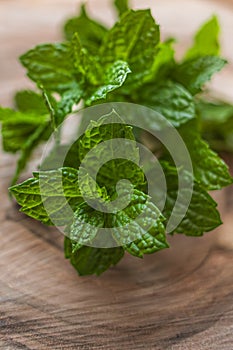 Fresh mint leaves on a wooden board close-up