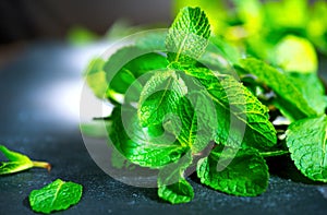 Fresh mint on a table