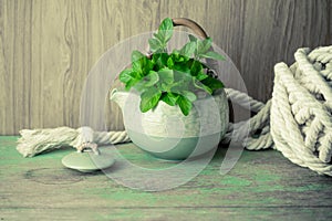 Fresh mint in tea pot