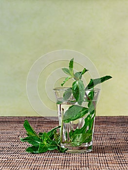 Fresh mint tea served in a glass