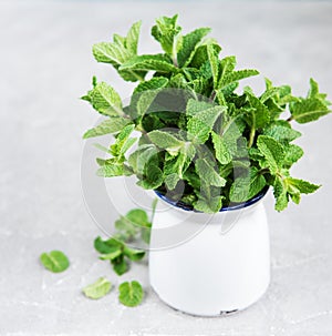 Fresh mint in a vase