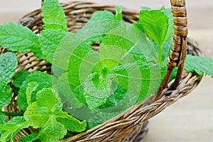 Fresh mint in wooden basket