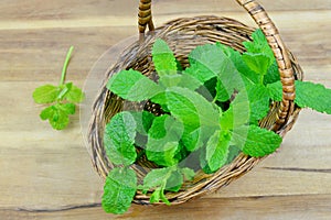 Fresh mint in wooden basket