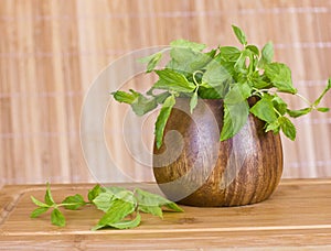 Fresh mint in a wooden brown bowl on the table