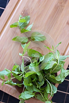 Fresh mint in a wooden brown bowl on the table