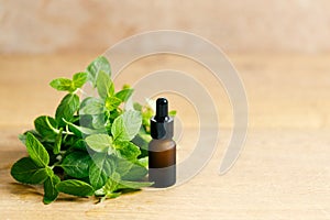 Fresh mint on wooden table