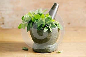 Fresh mint on wooden table