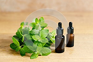 Fresh mint on wooden table