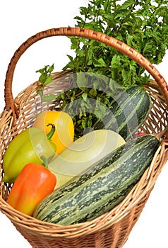 Fresh mint, yellow and green zucchini and Bell peppers in basket