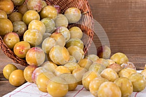 Fresh mirabelles with basket