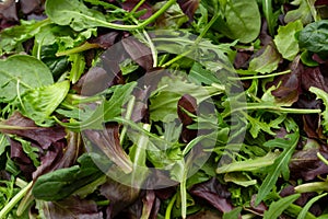 Fresh mix of salads with edible flowers. Top view