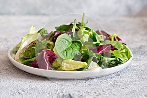 Fresh mix of salads: lettuce, arugula, spinach, mesclun, mache on a dark background photo