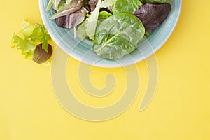 Fresh mixed green salad in round plate, colorful yellow background. Healthy food, diet concept. Top view, copy space