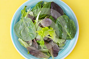 Fresh mixed green salad in round plate, colorful yellow background. Healthy food, diet concept. Top view, copy space