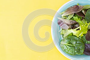 Fresh mixed green salad in round plate, colorful yellow background. Healthy food, diet concept. Top view, copy space