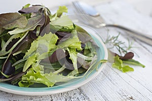 Fresh mixed green salad in round plate, rustic white wooden background. Healthy food, diet concept