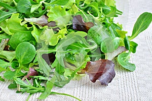 Fresh mixed greens leaf vegetables of arugula, mesclun, mache