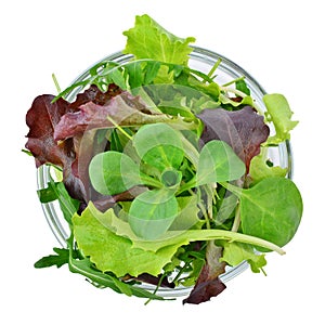 Fresh mixed greens leaf vegetables in bowl isolated, top view