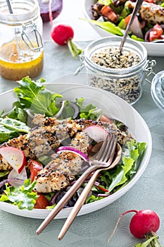 A fresh mixed greens salad topped with everything bagel seasoned chicken strips.