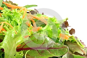 Fresh mixed lettuces, with carrots