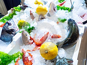 Fresh mixed raw fish and red prawns in ice with lemon and lettuce leaves