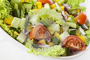 Fresh Mixed Salad