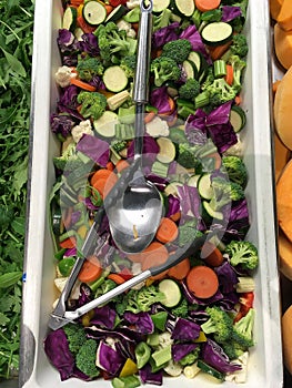 Fresh Mixed Vegetable Salad