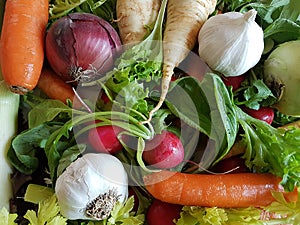Fresh mixed vegetables healthy foods carrots kohlrabi,