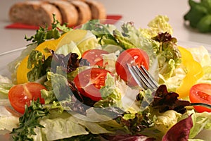 Fresh mixed vegetables salad