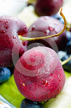 Fresh mixed wild berries closeup