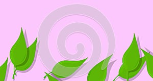 Fresh and modern banner. Soft background. Green leaves of the tree.