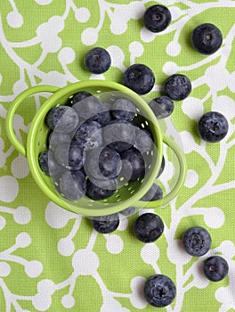 Fresh Modern Blueberries