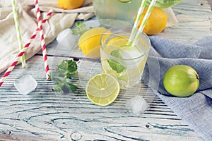 Fresh mojito drink made of lemon, lime, ice and mint leaves, mojito ingredients