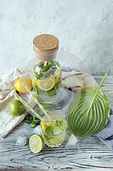 Fresh mojito drink made of lemon, lime, ice and mint leaves, mojito ingredients