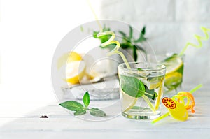 Fresh mojito drinks in bottles and ingredients - lemon and mint photo