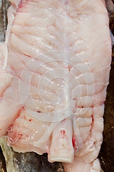 Fresh monkfish at market