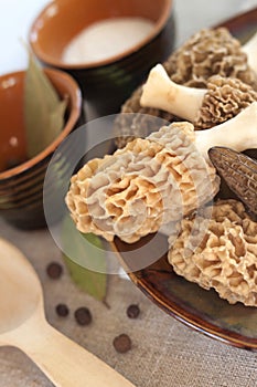 Fresh morel mushrooms