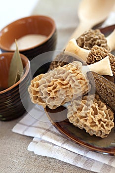 Fresh morel mushrooms