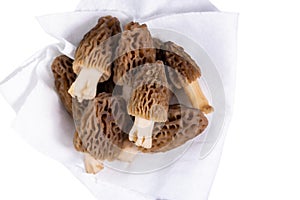 Fresh Morel Mushrooms on white