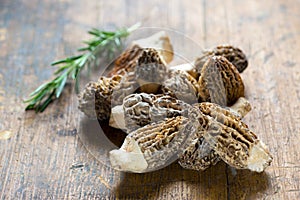 Fresh Morels Mushrooms