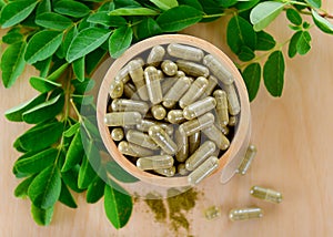 Fresh Moringa leaves and capsules Herbs for health