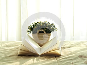 Fresh morning book and flower on the bed, select focus