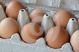 Fresh morning and organic chicken eggs in a carton box