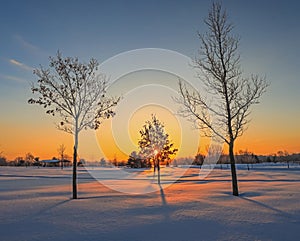 Fresh Morning Snow Sunrise